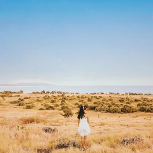 puru-kambera-savanna