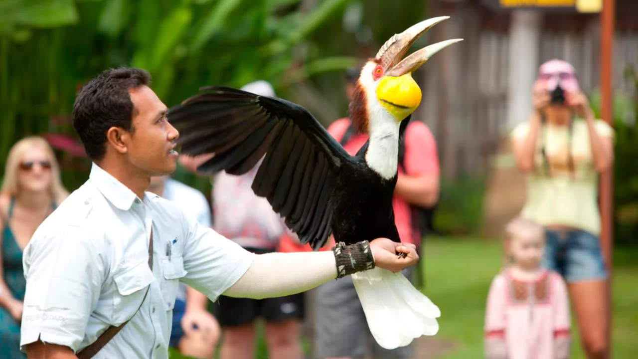 about-bali-bird-park