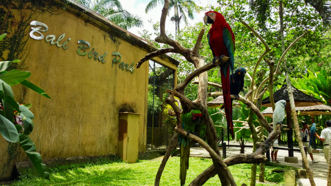 bali-bird-park-location