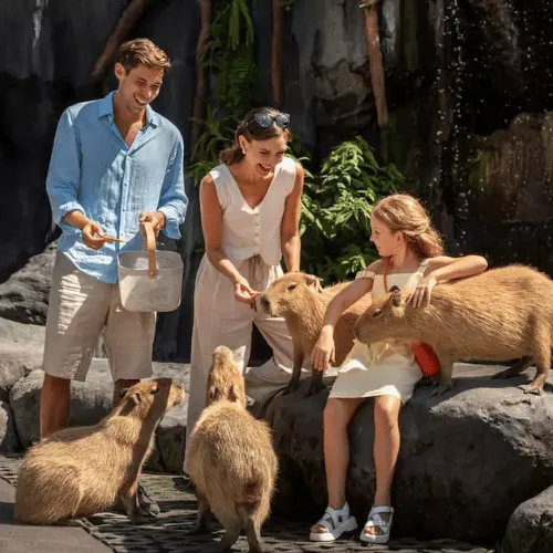 visit-bali-safari-and-marine-park