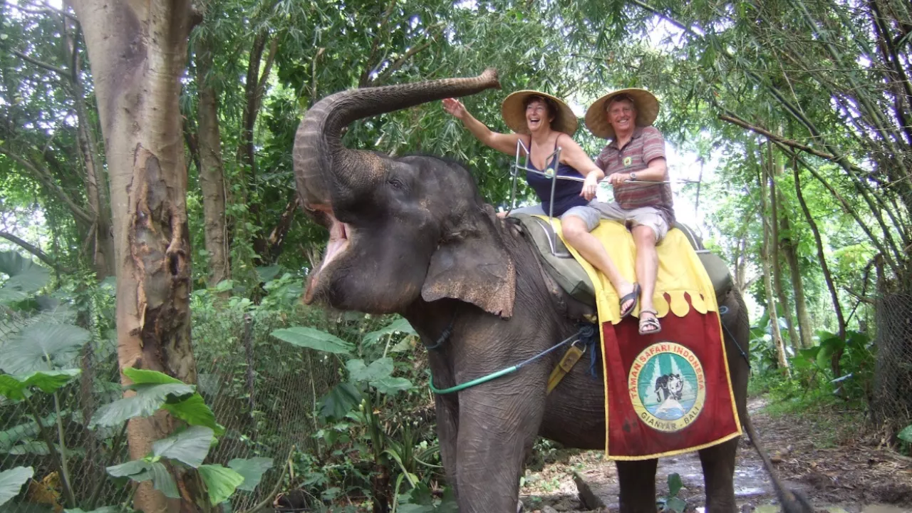 5-things-you-can-do-at-bali-safari