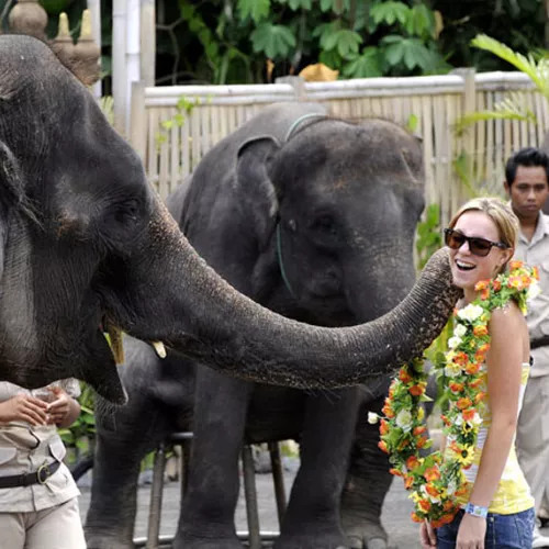 animal-shows-educational-programs