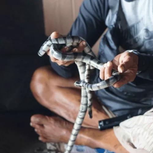 holy-cave-with-sacred-snake