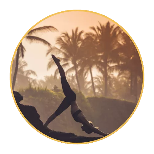 wellness-and-leisure