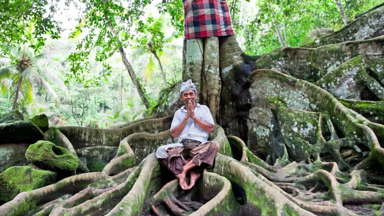 a-refined-stay-where-privacy-meets-balinese-warmth