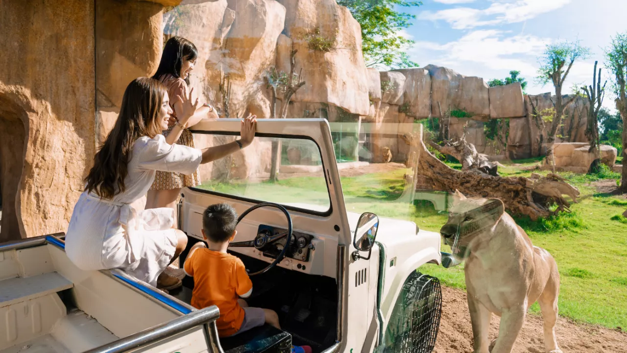 family-fun-unique-experiences