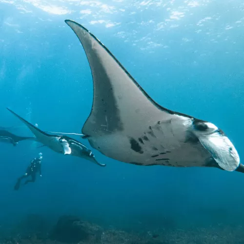 16-manta-point-overlook