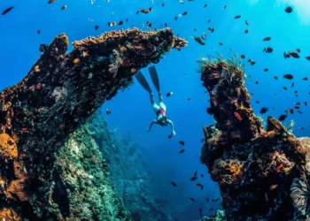 amed-snorkeling-spots-fi