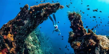amed-snorkeling-spots-fi