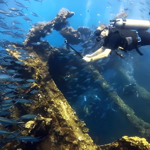 tulamben-diving-and-snorkeling-paradise
