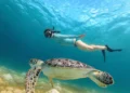 nusa-lembongan-fi