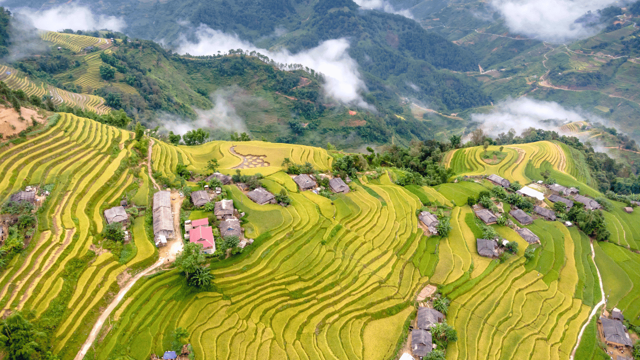 Jatiluwih Rice Terrace Entrance Fee and Opening Hours