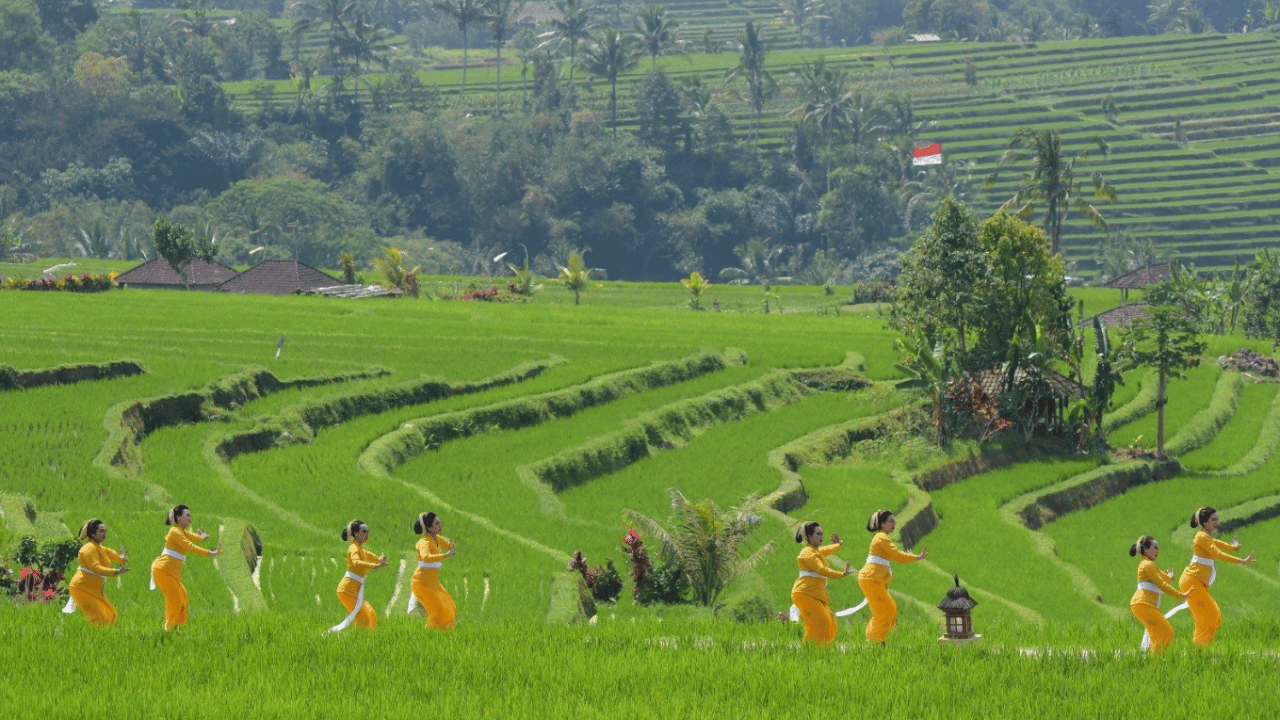Things to Do at Jatiluwih Rice Terrace