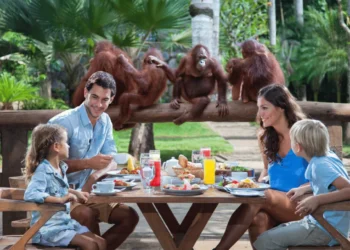 bali-zoo-fi