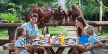 bali-zoo-fi