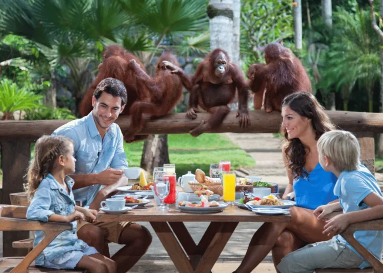bali-zoo-fi